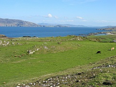 Irlande 084